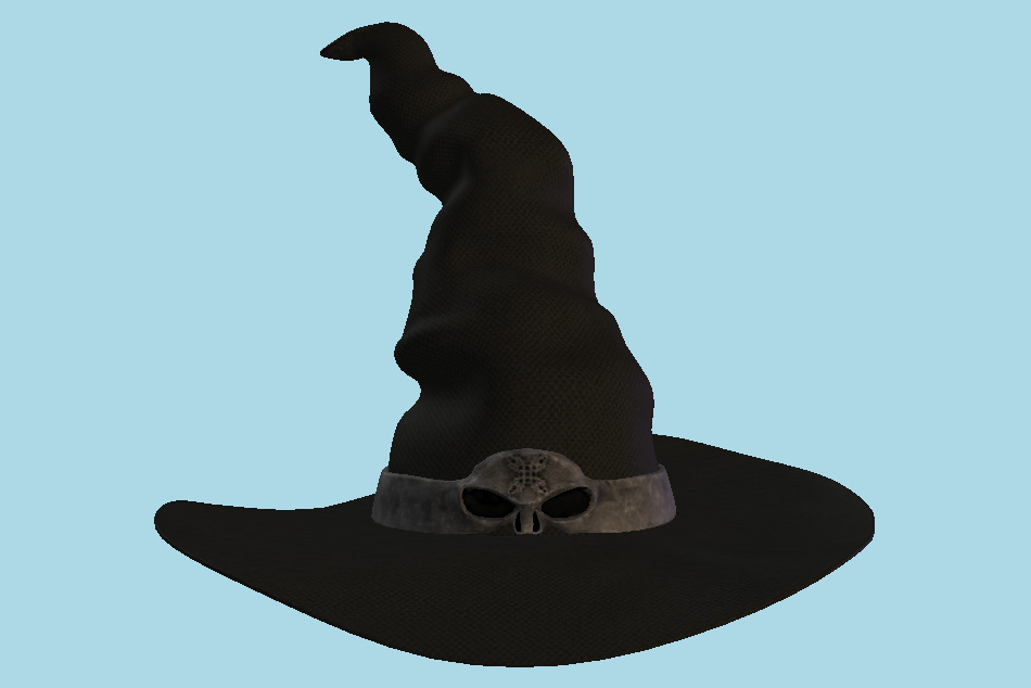 Witch Hat 3d model