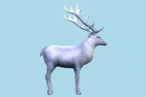 Deer deer, gazelle, elk, reindeer, animal, animals, white