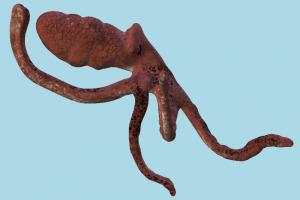 Octopus Octopus-3