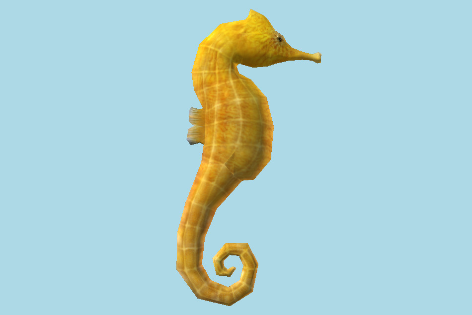 Sealife Seahorse 3d model