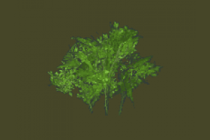 BSwap-LPBushes-01.b tree