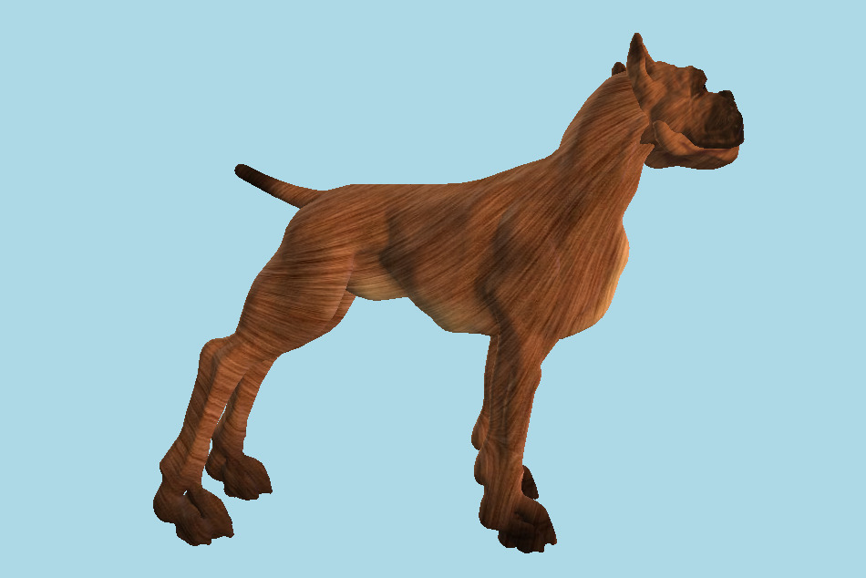 Pitbull Dog 3d model