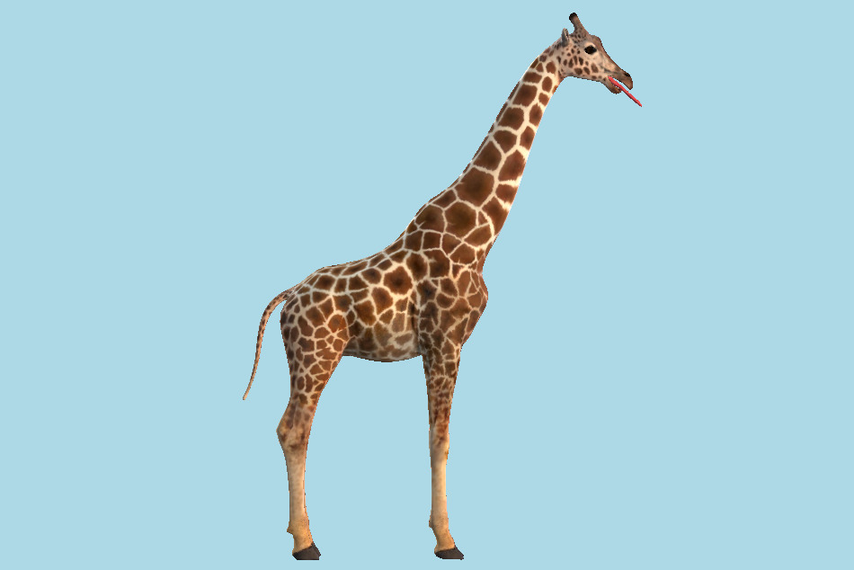 Giraffe 3d model
