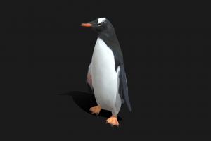 Low Poly Gentoo Penguin bird, penguin, snow, zoo, fbx, arctic, gentoo, animal, animated, textured, rigged, gentoo-penguin