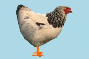 Hen hen, chicken, rooster, poultry, bird, air-creature, nature