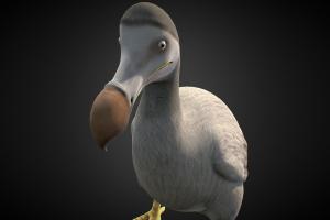 Dodo [ Extinct Bird ] dodo, bird, extinct, dodobird, blender, animation, rigged
