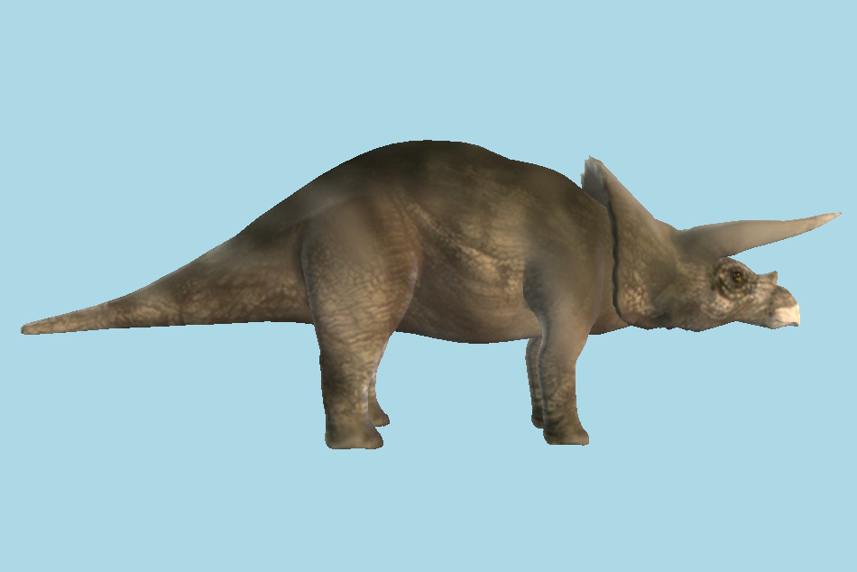 Triceratop Dinosaur 3d model