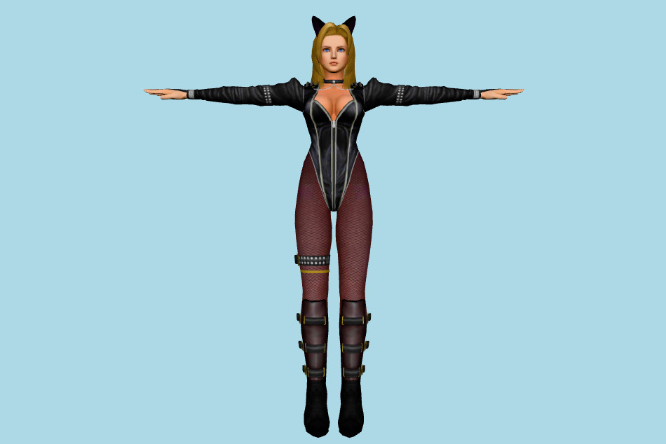 Dead or Alive 5 - Dimensions - Tina Armstrong 3d model