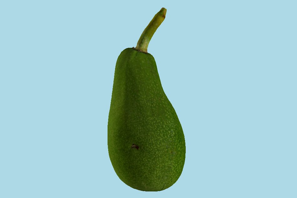 Avocado 3d model