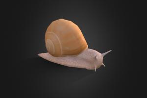 Snail snail, urban, obj, fbx, blender-3d, game-asset, painted-texture, low-poly-blender, low-poly, blender3d, creature, animal, animated, rigged, mobilega