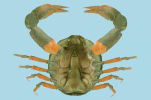 Crab Crab-3