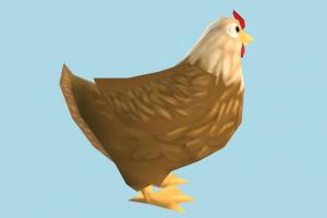 Chicken hen, chicken, rooster, poultry, bird, air-creature, nature