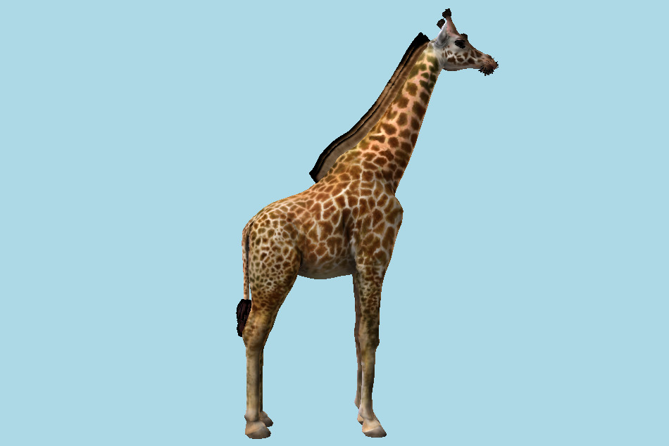 TLOU Giraffe 3d model