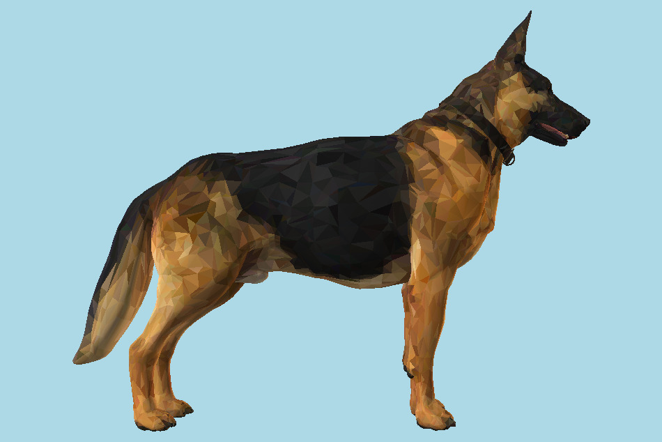 Shepherd German Dog 3d model