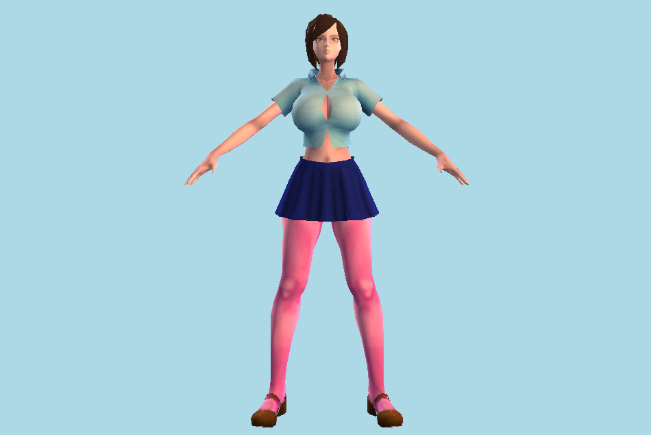 Anime Fighter Girl 3d model