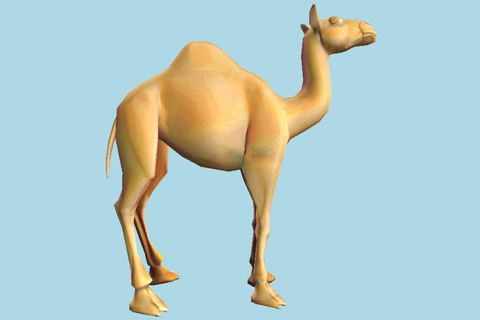 Camel Animal 3d model