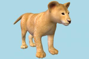 Lion Cub lion-cub