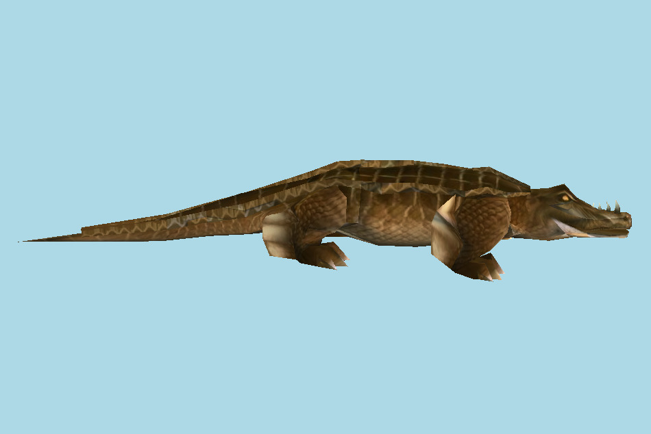 Saltwater Alligator Crocodile 3d model