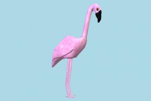 Flamingo flamingo, ostrich, ostriches, poultry, bird, air-creature