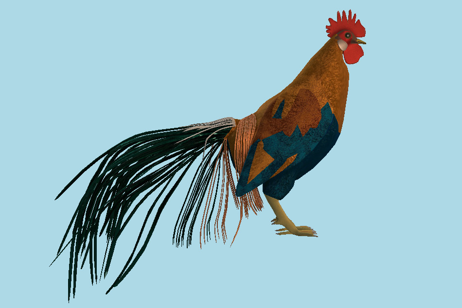 Chicken Rooster 3d model