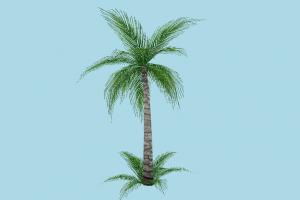 Prop Rim Palm B mdl, hlmdl, halflife, palm, tree, animated