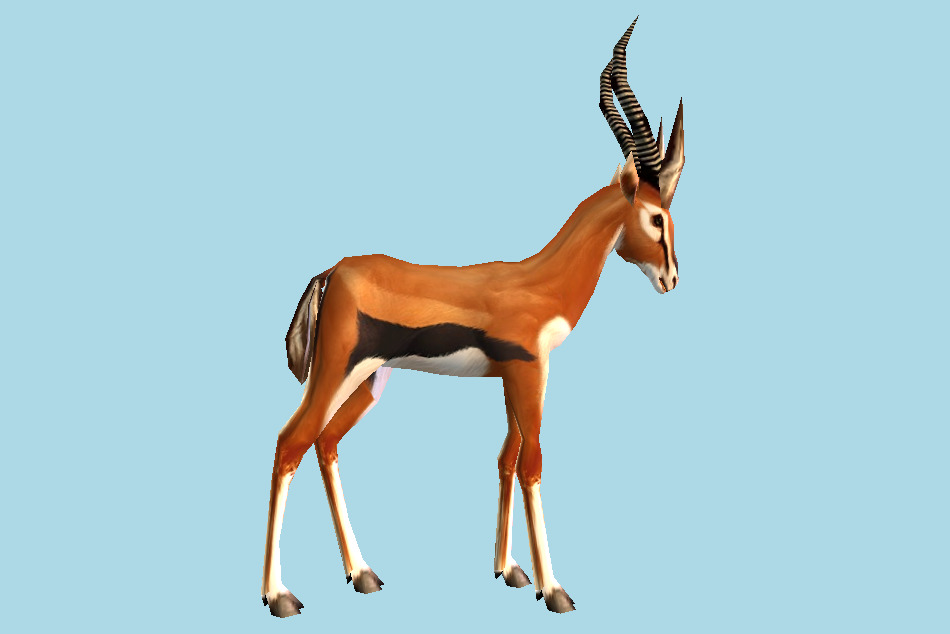 Orange Gazelle 3d model