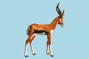 Deer deer, gazelle, elk, animal, animals, wild, nature, mammal, ruminant, zoology, predator, prey, lowpoly