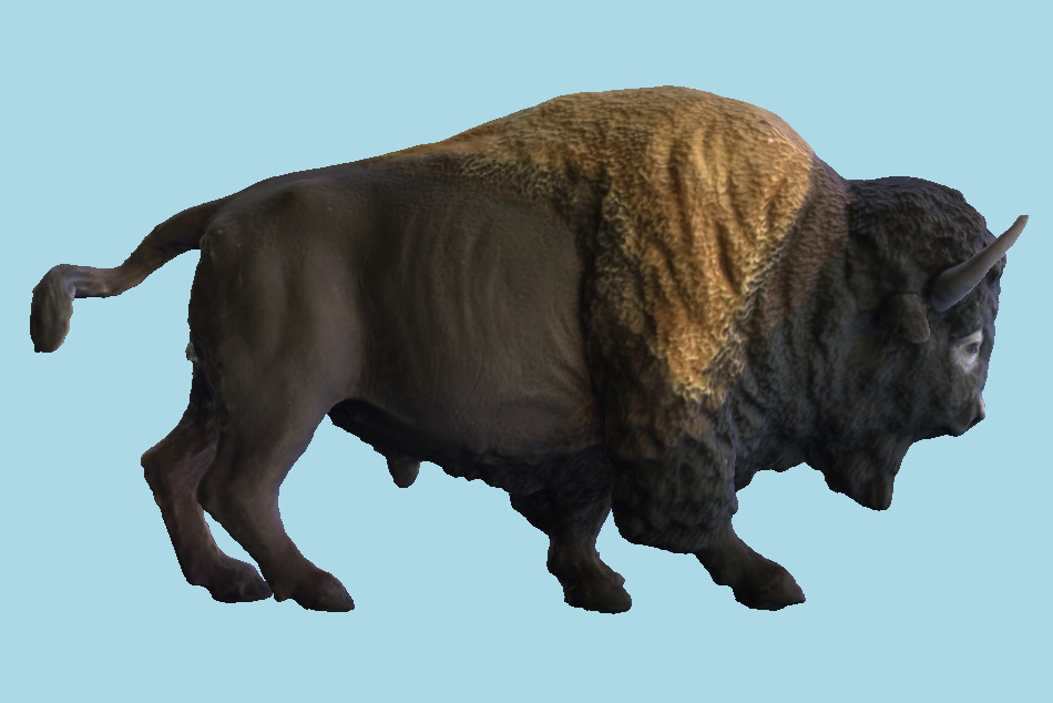 Bison Bull Sculpture 3d model