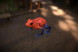 Poison dart frog frog, jump, poison, low-poly, pbr, animal, walk, animated, rigged, gameready