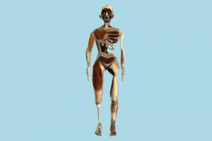 Zombie zombie, skeleton, anatomy, bloody, character, human, lowpoly