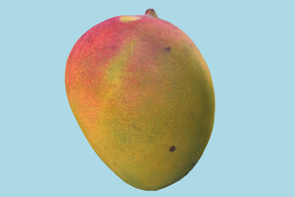 Exotic Fruit Mango 3d model