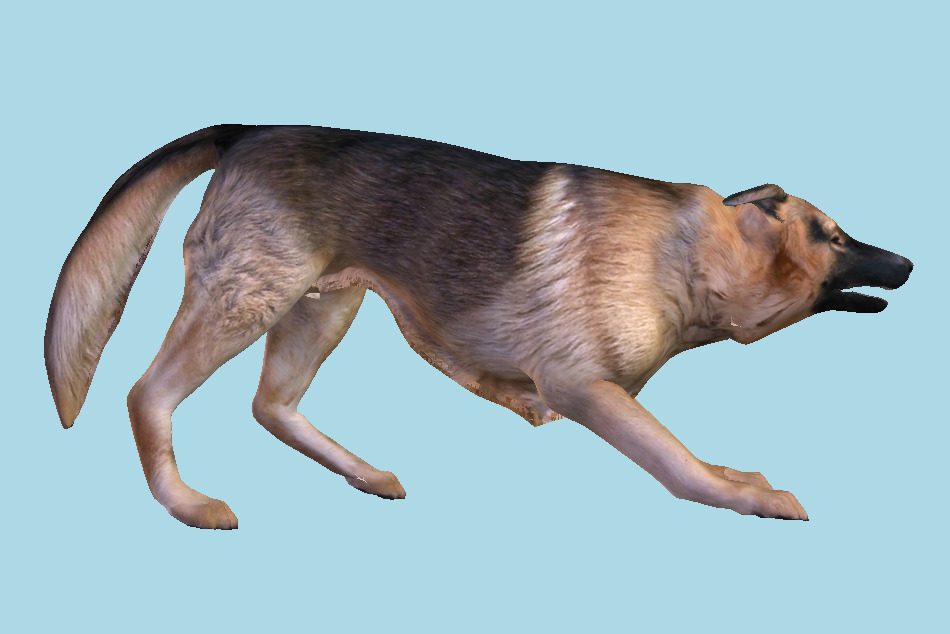 Dog Barking 3d model