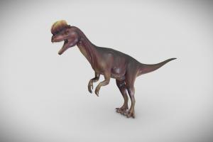Dilophosaurus lizard, predator, park, claw, reptile, jurassic, carnivore, theropod, mesozoic, dilophosaurus, prehistoric, dinosaur