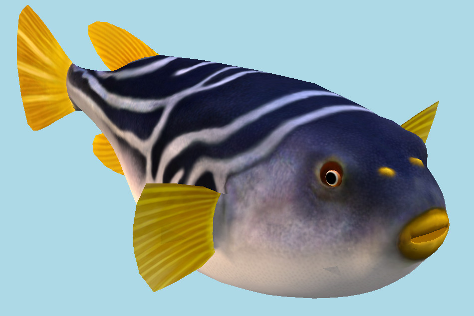 Puffer Fish 3d model