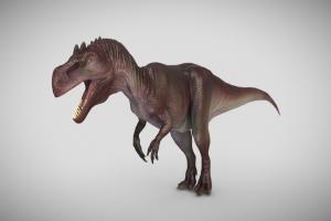 Allosaurus trex, raptor, rex, jurassic, carnivore, theropod, tyrannosaurus, allosaurus, fragilis, monster, prehistoric, dinosaur, dino
