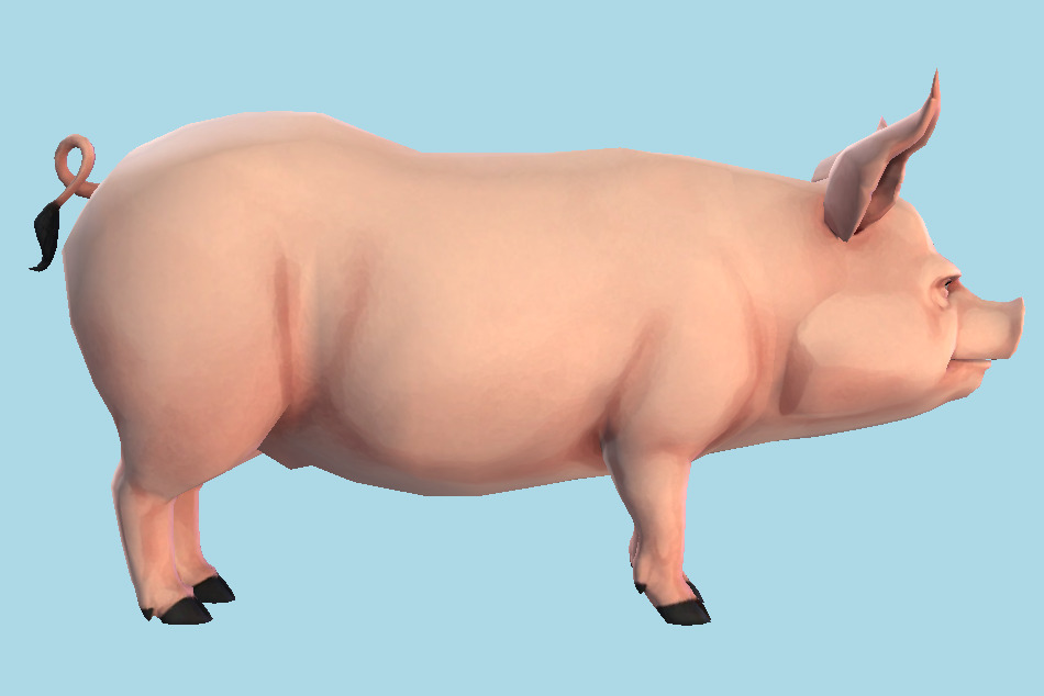 Pig Cartoon 3d model