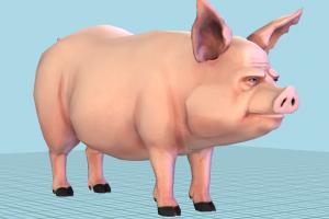 Pig Cartoon Pig-2