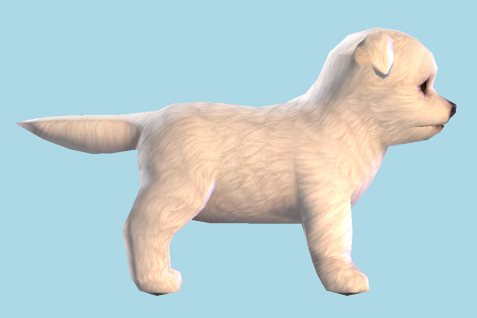 Cute Puppy Dog 3d model