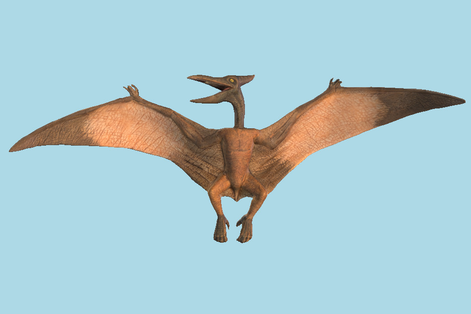 Pterodactylus 3d model