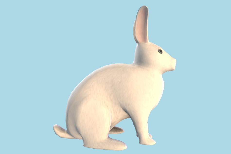 Bunny 3d model