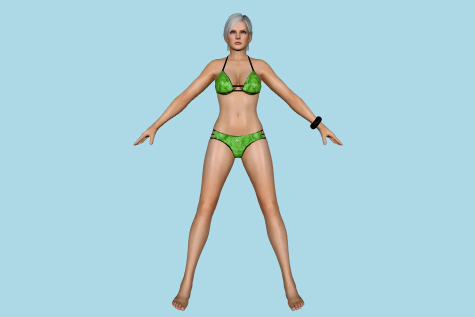 Dead or Alive 5 - DOA5LR Delicious Girls 3d model