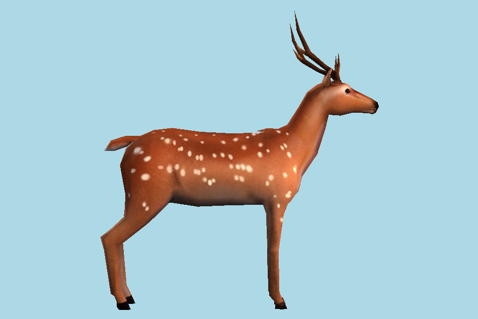 Chital Deer 3d model