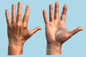 Male Hands hand, hands, skin, anatomy, vr, human