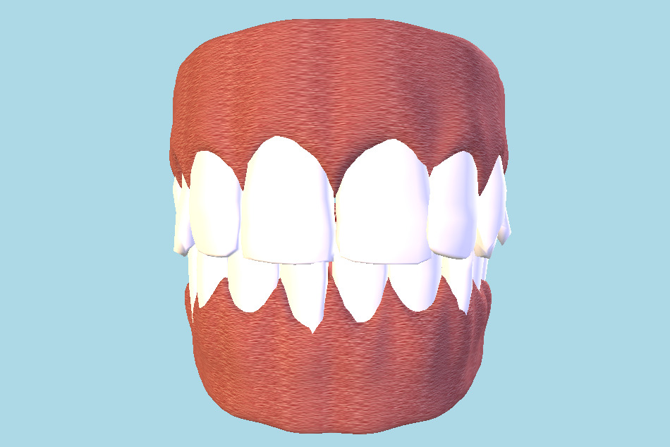 Teeth and Tongue 3d model