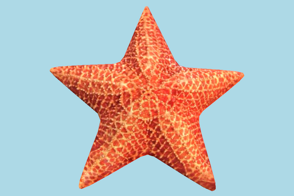 Star Fish 3d model