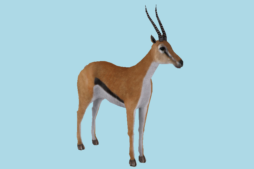 Safari Gazelle 3d model