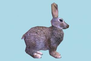 Rabbit rabbit, bunny, pet, animal, animals, garden, wild, nature, lowpoly