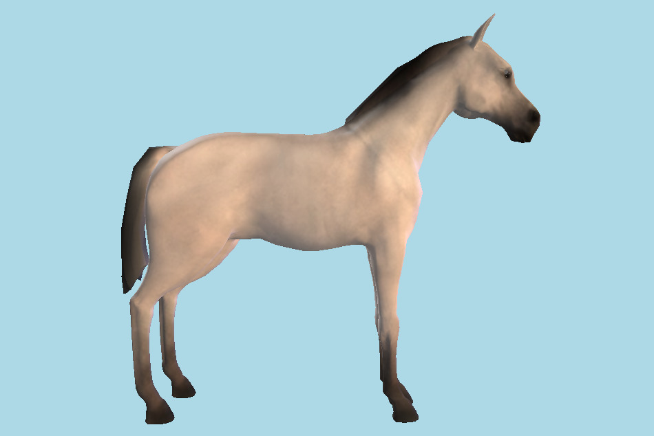 Domestic Horse Animal 3d model