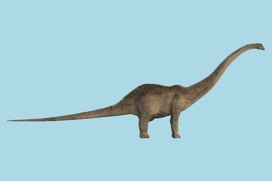 Diplodocus Dinosaur 3d model