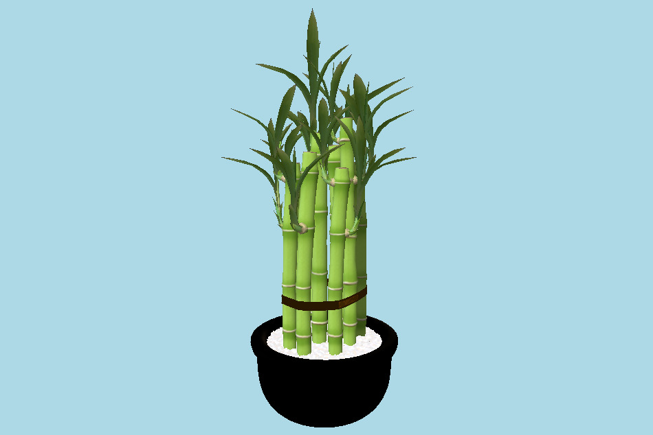 Potted Plant Bamboo 3d model